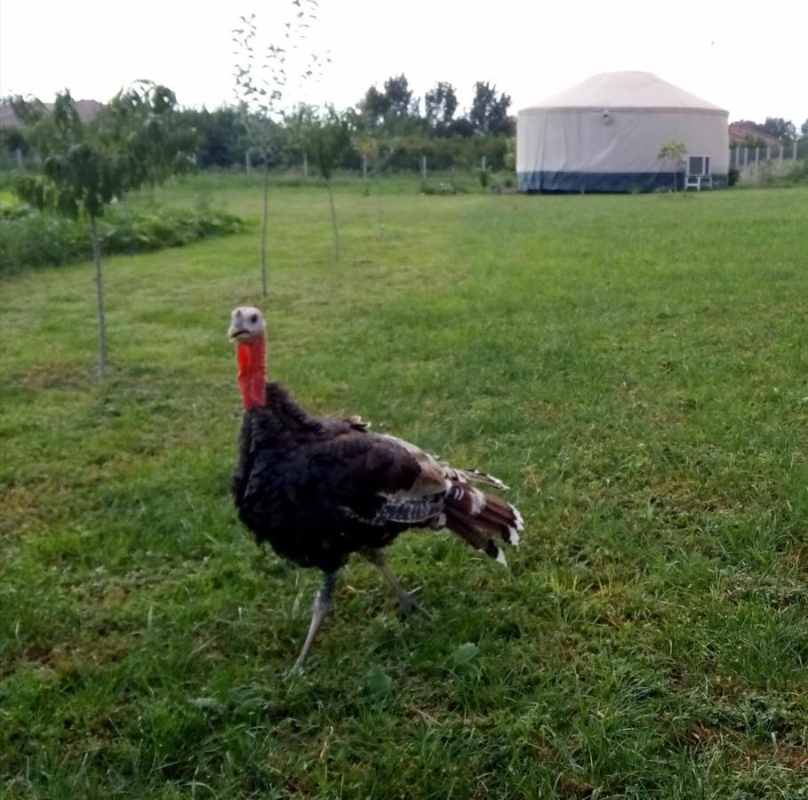 Jurtafarm Rackeve - A Nomad Luxus Hotel Luaran gambar